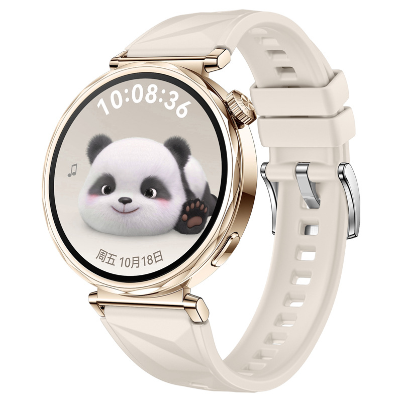 Titan Smartwatch Accessories - 화웨이 워치 GT 5 41mm, 46mm용